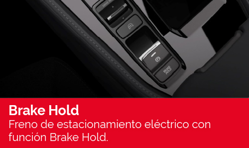 ACCORD ADVANCE HYBRID Caracteristicas