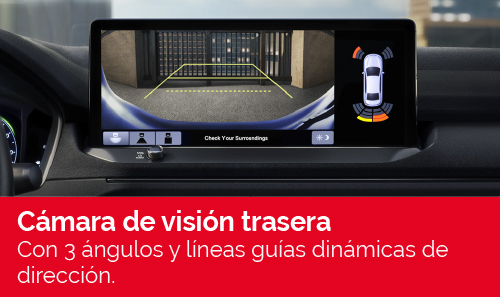 ACCORD ADVANCE HYBRID Caracteristicas